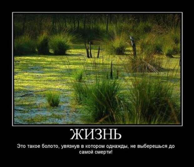 Демотиваторы от 290311 (23 шт.)