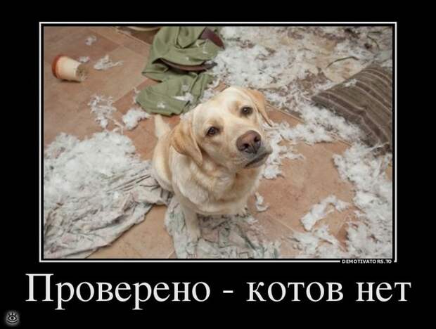 Иногда проще сказать правду... 20