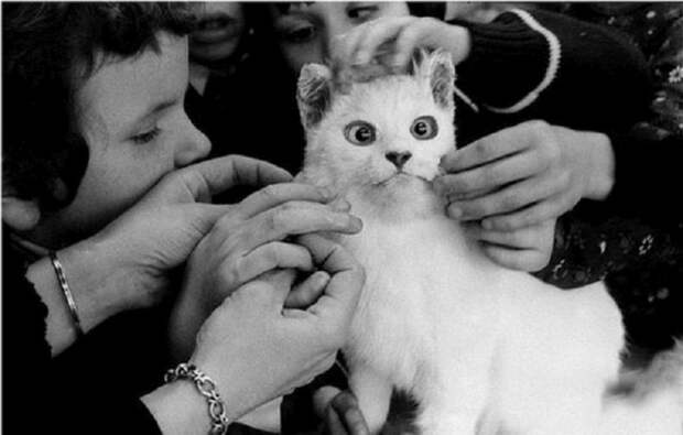 Подборка редких фотографий со всего мира. Часть 8 (74 фото) Подборка редких фотографий со всего мира. Часть 8 (74 фото)