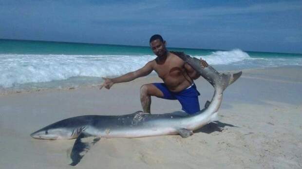 Tourists and lifeguards posed for pictures with the shark's body, which appeared lifeless.