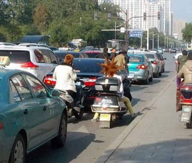 Автомобильный юмор (39 фото)