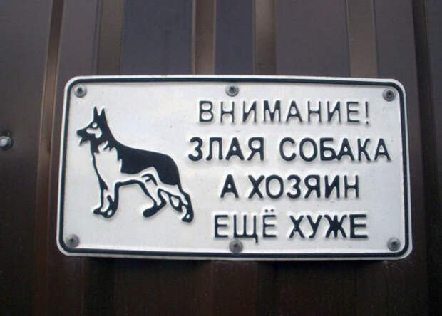 Звучит убедительно: 20 остроумных табличек собака, табличка, юмор