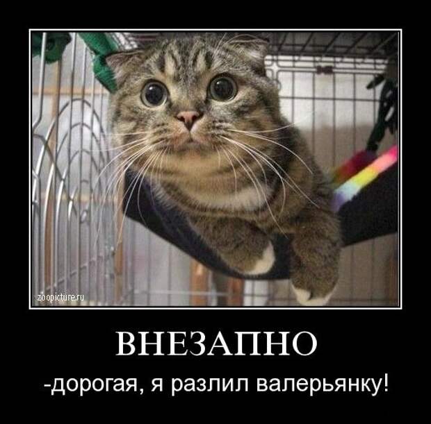 Демотиваторы (133 картинки)