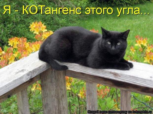 Мысли вслух :)