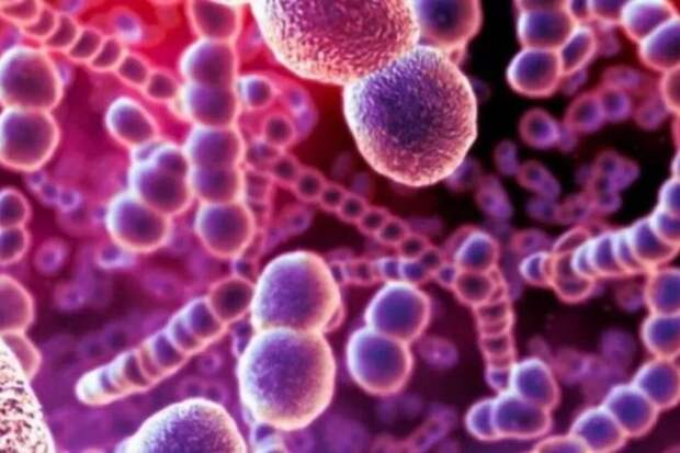 Как « маскируется под прорезывание зубов. История 10-месячной Ариэль, чудом избежавшей инвалидности