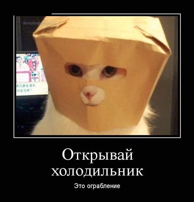 Демотиваторы Демотиваторы демотиваторы, юмор