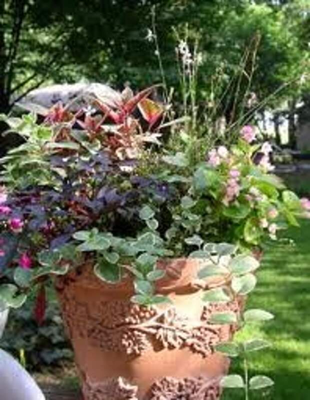 Глиняный контейнер для садовых растений