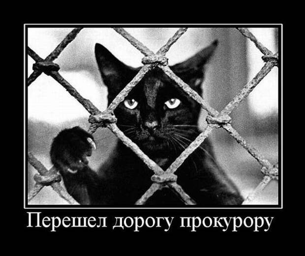 Демотиваторы демотиваторы, юмор
