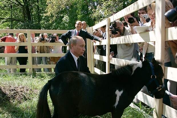 Удивить президента: что дарят Путину бизнесмены и политики