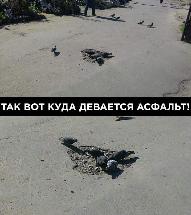 Подборка автоприколов - 23
