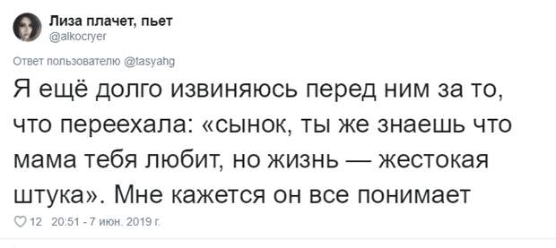 14. Тася Никитенко, животны, забавно, кот, кошка, люди, твиттер, юмор