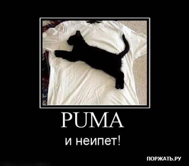 Демотивируемся по полной, только хорошими постами.