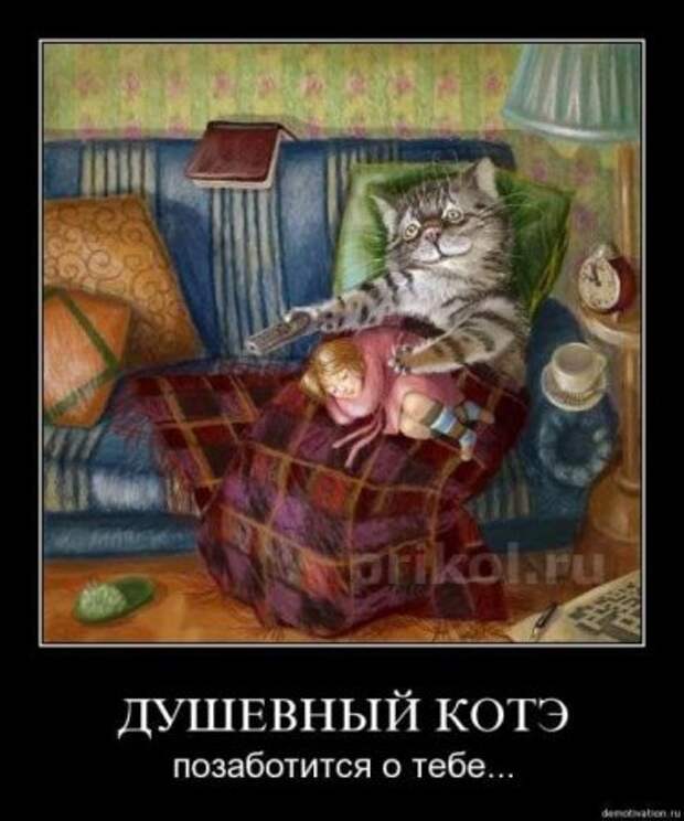 Демотиваторы, классные приколы в картинках на сегодня.