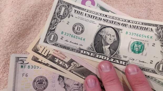 Эксперт оценил будущее курса доллара из-за санкций