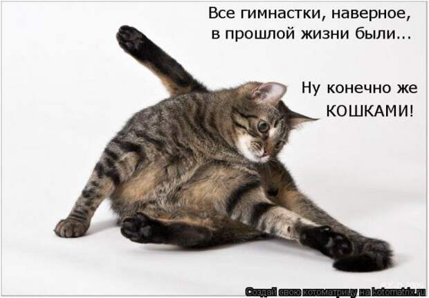 Мысли вслух :)