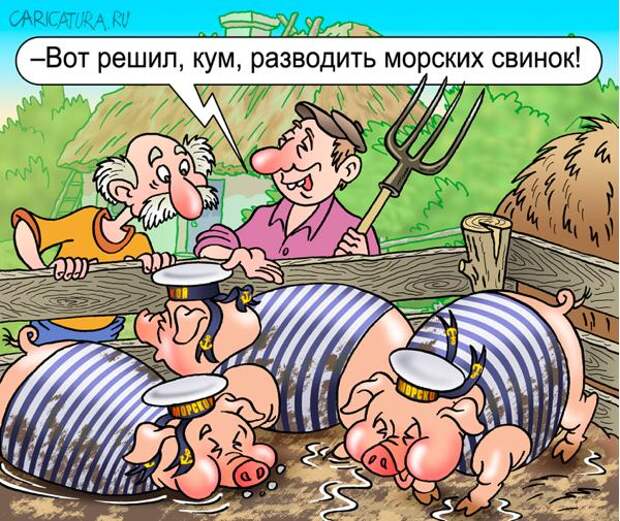 Андрей Саенко "Морские свинки"