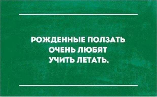 Смешные фото и картинки (39 шт)