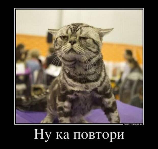 Просто прикольные демотиваторы.