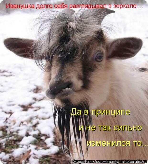 Мысли вслух :)