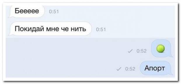 Смешные комментарии из социальных сетей