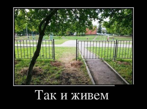 Фото, которые гарантированно поднимут вам настроение демотваторы, картинки, прикол, юмор