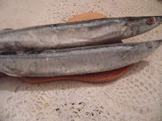 Сайра Сайра