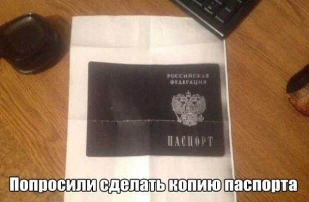 Весело до сумасшествия