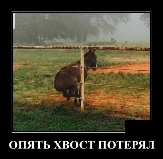 Демотиваторы (30 фото)