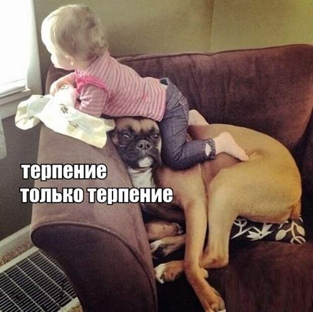 Смейся до слез с новыми фото приколами :)