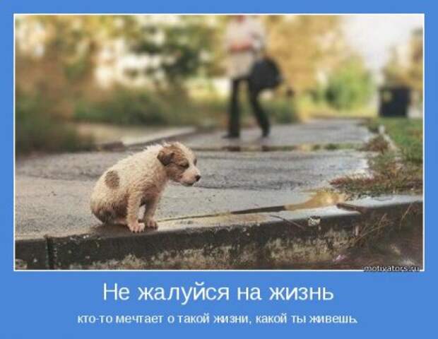 Мотивируемся и не тоскуем по ошибкам.