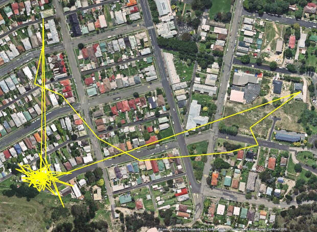 gps-tracker-cat-movement-map-lithgow-central-tablelands-local-land-services-5