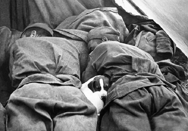 Самые трогательные фотографии войны. Самые трогательные фотографии войны.