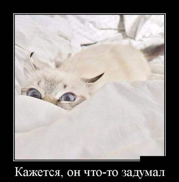 Демотиваторы (30 фото)