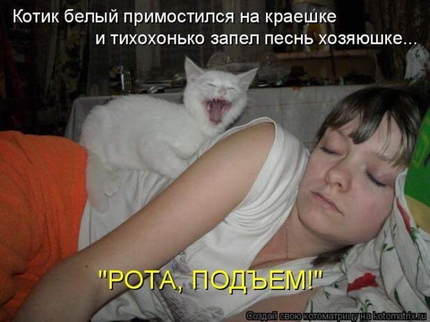 Мысли вслух :)