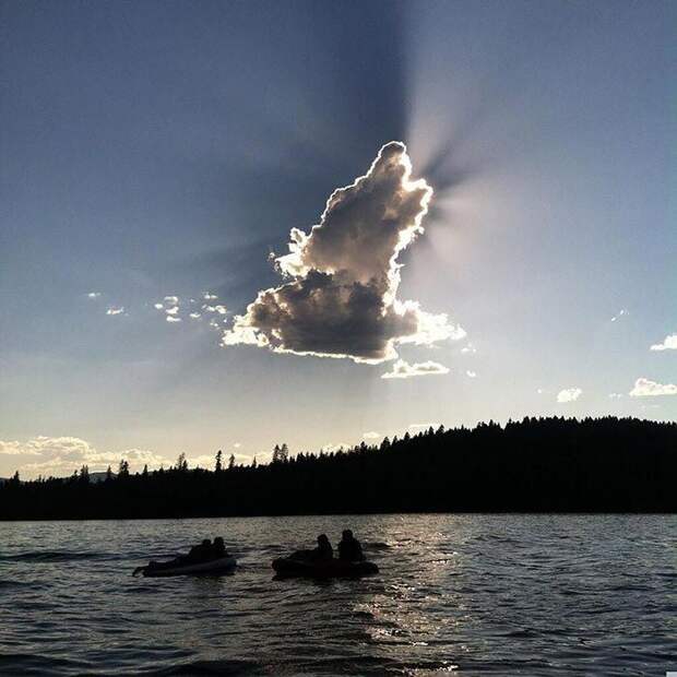 Волк небо, облака, формы