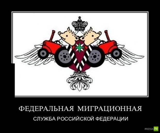 Демотиваторы на июль, часть 7 (29 фото) Демотиваторы на июль, часть 7 (29 фото)