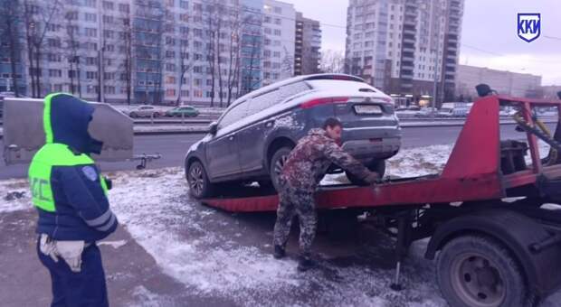 Видео: в Муринском парке убрали нелегальную парковку