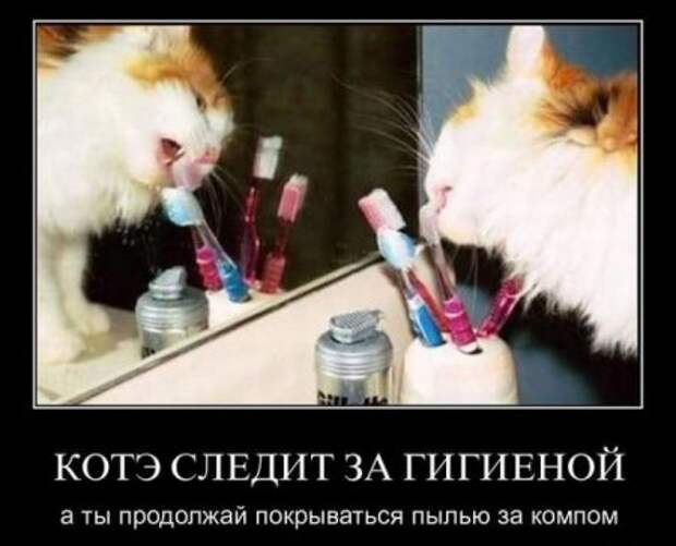 Демотиваторы, юмор и сатира, не смешных у нас не бывает.
