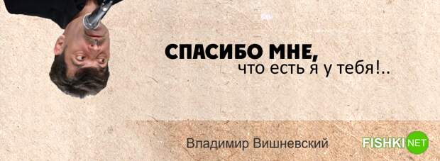 15 искромётных одностиший Владимира Вишневского на каждый день Владимир Вишневский, Одностишья