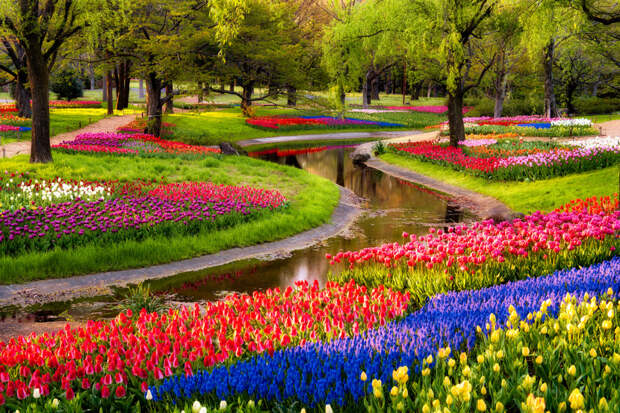 Serpent Garden