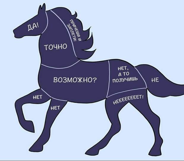 kak-nuzhno-gladit-zhivotnyx_10_1