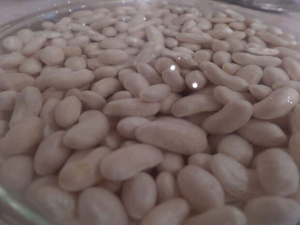 Фасоль белая замачивание. Фасоль белая замачивание. Фасоль белая замачивание. Фасоль белая замачивание. Фасоль белая замачивание.
