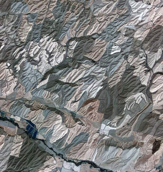 регион Палус