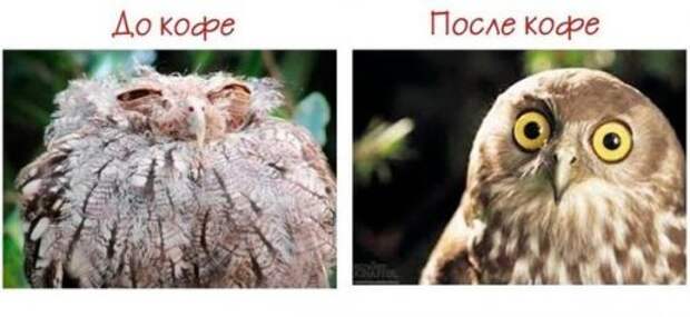 Прикольные фотомемы на Бугаге (33 шт)