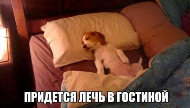 Давайте улыбаться вместе! :)