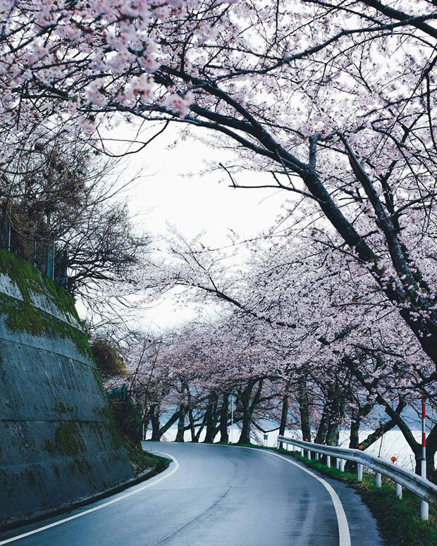 Японский колорит в уличных фотографиях Такаши Ясуи фотограф, япония