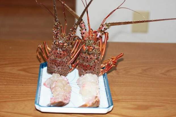 odori ebi