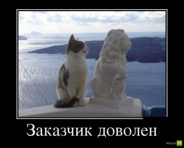 Демотиваторы на сентябрь 3, (30 фото)