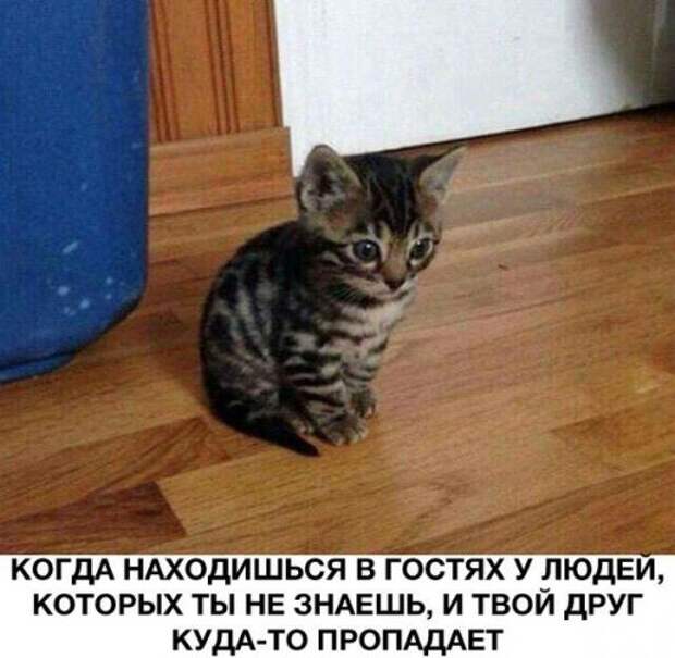 Классные и смешные картинки (31 шт)
