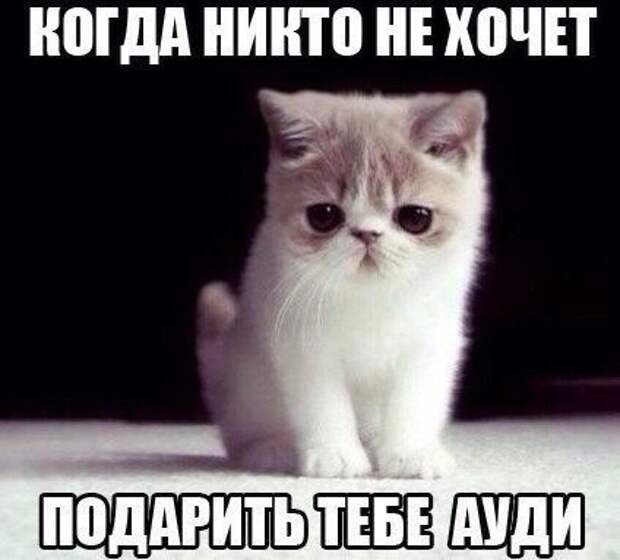 Смешные картинки с надписями прикол, юмор